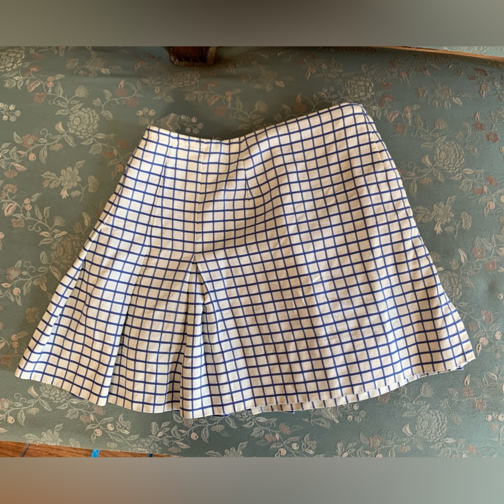 Vintage Pleated Mini Skirt